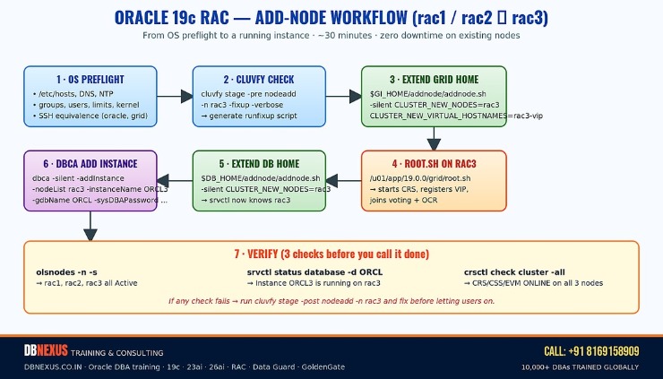 Oracle 19c RAC add node workflow diagram — preflight, cluvfy, addnode.sh, root.sh, dbca add instance