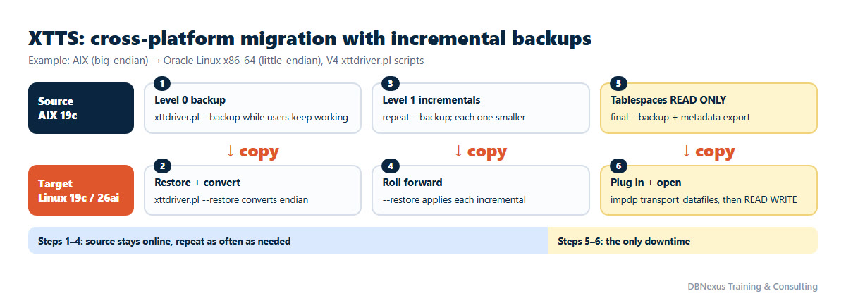XTTS cross-platform migration flow: level 0 backup, restore and convert, incremental roll forward, final read-only backup and metadata import